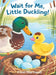 Wait for Me, Little Duckling!: A Gentle Story About Patience for Kids Ages 3-5: A Gentle Story About Patience for Kids Ages 3-5 by Finn Hartwell