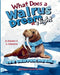 What does a walrus dream at night by Lana Lukanova