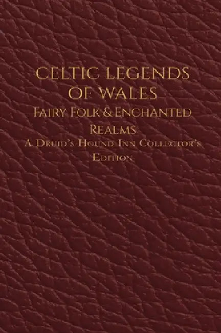 Celtic Legends of Wales: Fairy Folk & Enchanted Realms by Carol Motsinger