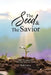 The Seed & the Savior Daily Devotions for Growing Closer to Christ by Beth Carley