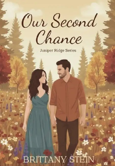 Our Second Chance by Stein