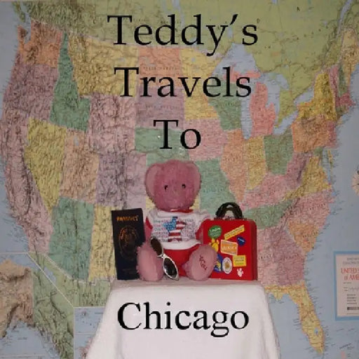Teddy's Travels: To Chicago by Kathy Kirshe, Michael Hyer