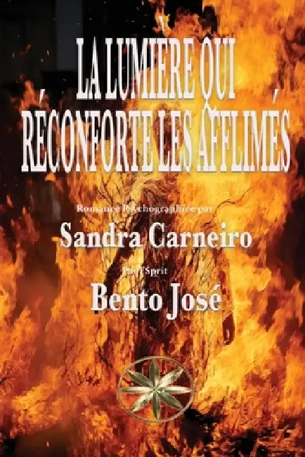 La Lumière Qui Réconforte Les Afflimés by Sandra Carneiro, Par L'Sprit José Bento
