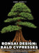 Bonsai Design: Bald Cypresses: A Comprehensive Guide to Bald, Pond, and Montezuma Cypresses by Randy K. Bennett