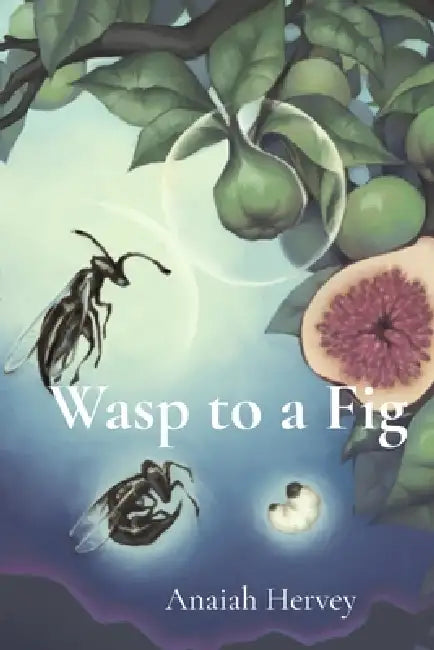 Wasp to a Fig by Anaiah Hervey
