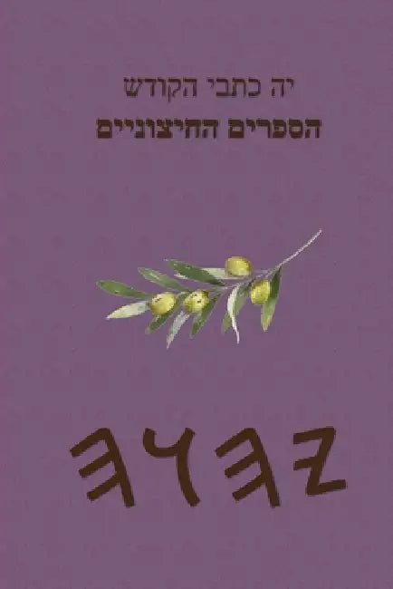 יה כתבי הקודש הספרים החיצ by Boss