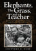 Elephants, The Grass, and a Teacher: Recollections and Reflections on the Nigeria / Biafra War by Chinyere Egbe