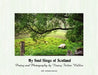 My Soul Sings of Scotland by Nancy Fulton Walker