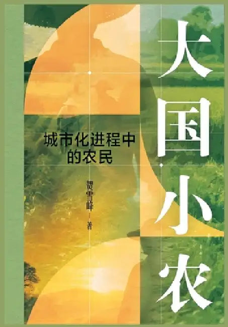 大国小农：城市化进程中的农民 by 贺雪峰
