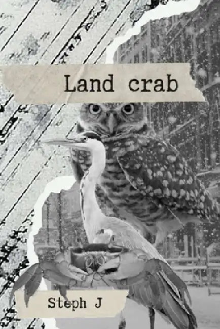Land Crab by Steph J