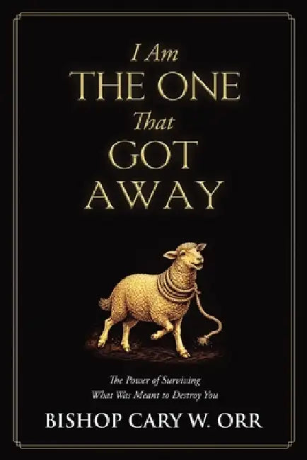 I Am The One That Got Away: The Power of Surviving What Was Meant to Destroy You by Cary W. Orr