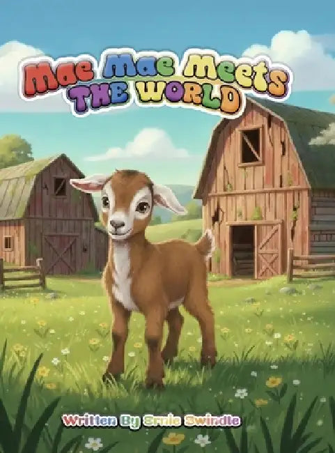 Mae Mae Meets the World by Ernie Swindle