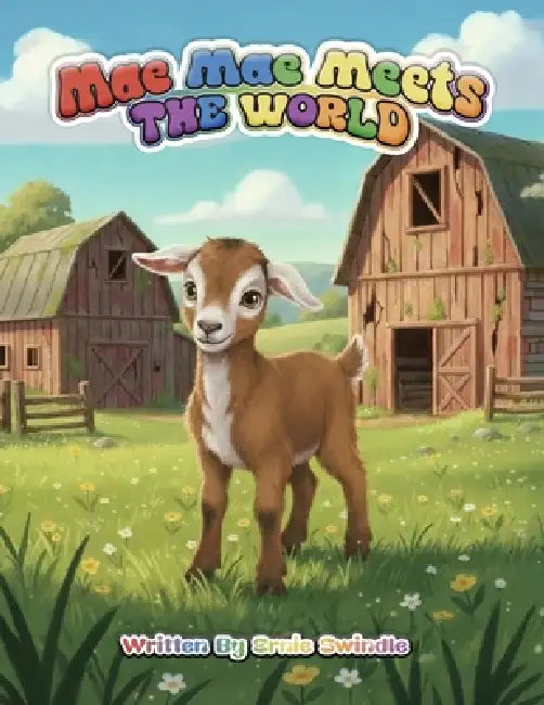 Mae Mae Meets the World by Ernie Swindle