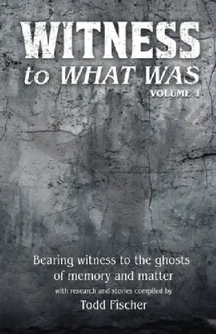 WITNESS to What Was: Volume 1 by Todd Fischer