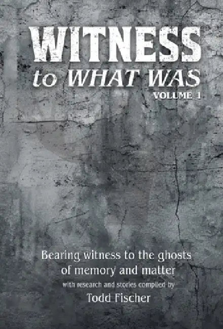 WITNESS to What Was: Volume 1 by Todd Fischer