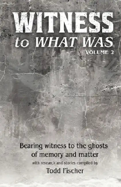 WITNESS to What Was: Volume 2 by Todd Fischer