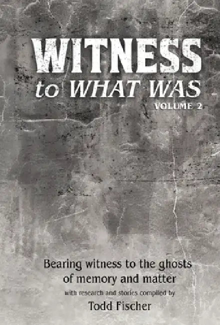 WITNESS to What Was: Volume 2 by Todd Fischer