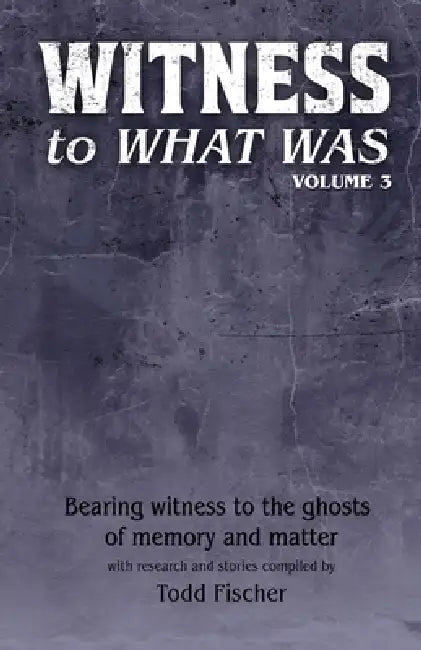WITNESS to What Was: Volume 3 by Todd Fischer