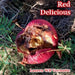 Red Delicious by Lauren Wb Vermette