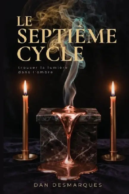 Le Septième Cycle: Trouver la Lumière dans L'ombre by Dan Desmarques