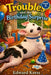 Troubles and the Birthday Surprise by Edward Kress