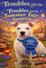 Troubles and the Summer Fair Surprise by Edward Kress