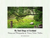My Soul Sings of Scotland by Nancy Fulton Walker