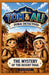 TOM & ALI - Dubai Detectives - The Mystery of the Desert Trail by Gigi Bishop