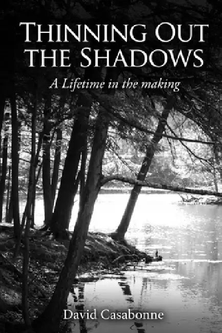 Thinning Out The Shadows by David Casabonne