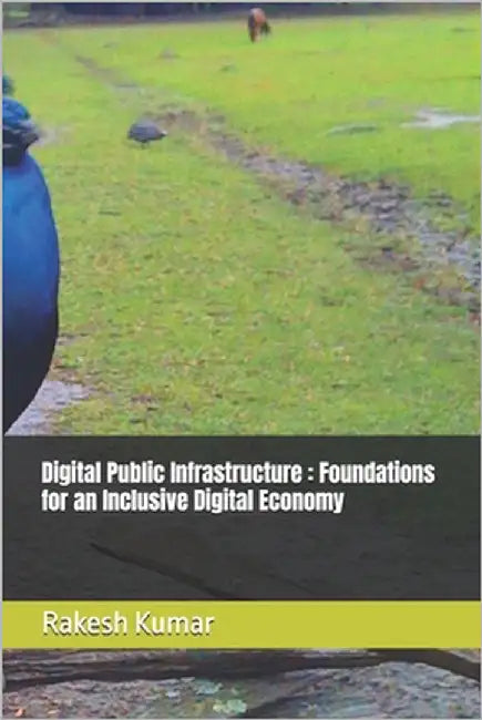 Digital Public Infrastructure: Foundations for an Inclusive Digital Economy by Kumar, Rakesh