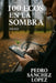 100 Ecos en la Sombra by Pedro Sánchez López