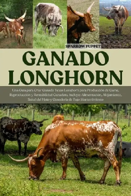 Ganado Longhorn