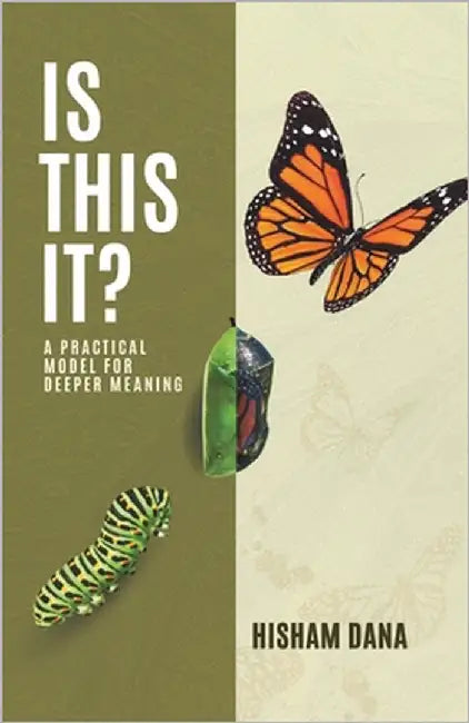 Is This It: A Practical Model For Deeper Meaning by Dana, Hisham