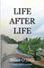 Life After Life by Brian O'Neill
