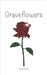 Graveflowers by Collins, Cindy