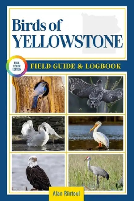 Birds of Yellowstone Field Guide and Logbook: An Essential Birdwatching Guide with Identification Tips for 60 Common Bird Species in Yellowstone Natio by Alan Rintoul