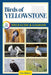 Birds of Yellowstone Field Guide and Logbook: An Essential Birdwatching Guide with Identification Tips for 60 Common Bird Species in Yellowstone Natio by Alan Rintoul