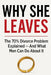 Why She Leaves by Dreganivula