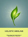 Holistic Healing: Alternative Pain Relief Without Side Effects Or Addiction by Onamarie Decesare