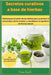 Secretos curativos a base de: 500 remedios naturales para cada dolencia: Desbloquea el poder de las hierbas para aumentar la inmunidad, aliviar el d by Smith, Fiona