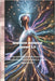 Quantum Ancestral System 2.0: Sfrutta il potere della tua discendenza per dare forma alla vita che desideri. Programmi Quantum Ancestral: trasformar by Ray, Valentina