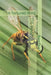 The Wasp: A Tortured Mind by Brent Jeffery Cole