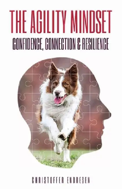The Agility Mindset by Christoffer Endresen