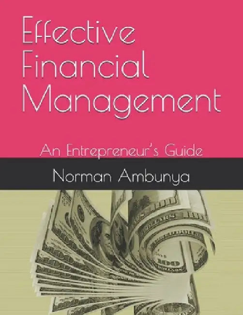 Effective Financial Management: An Entrepreneur's Guide by Norman Naaman Ambunya