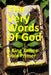 The Very Words of God: A King James Bible Primer by William a. Taylor