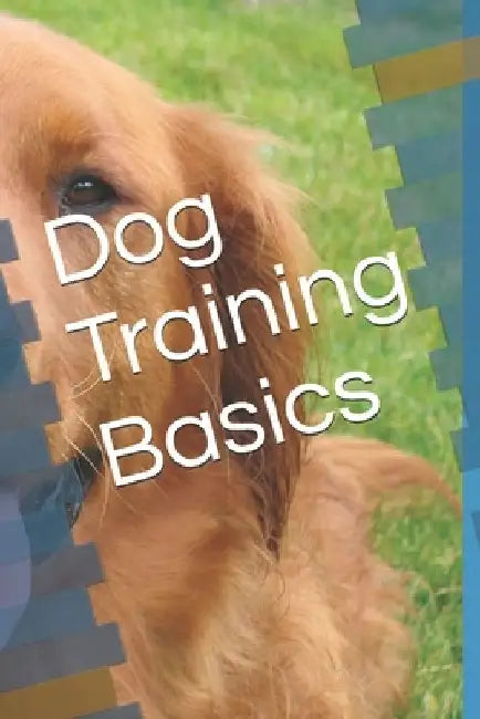 Dog Training Basics by Pv 