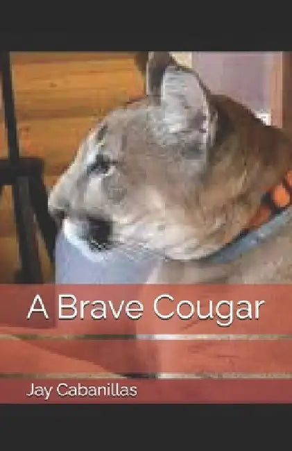 A Brave Cougar by Jay Cabanillas