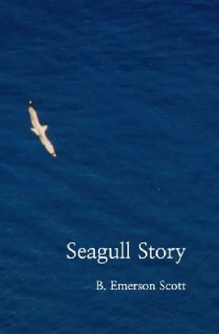 Seagull Story by B. Emerson Scott