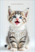 Poemas y Fotos: Gatos y Gatitos Felices: ¿Amas a los gatos? ¿Te encanta la poesía? ¡Este libro está hecho para ti! by Matthieu Berthelot