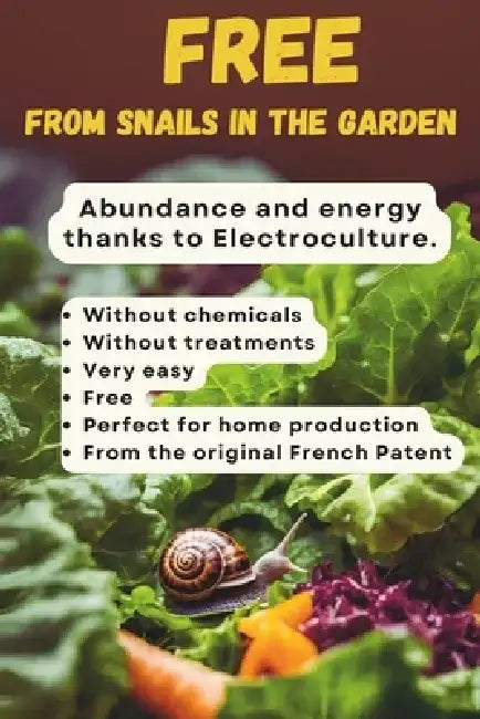 Free from snails in the garden: Abundance and energy thanks to Electroculture. by Valentina Ghione